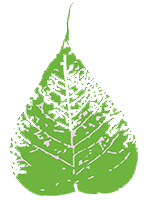 Banyan Tree Organization